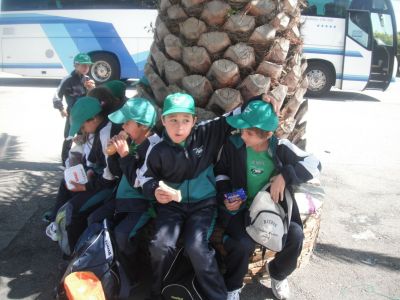 Preme para ver a foto ampliada