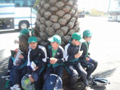 Preme para ver a foto ampliada