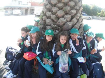 Preme para ver a foto ampliada