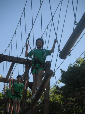 Preme para ver a foto ampliada