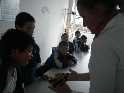 Preme para ver a foto ampliada