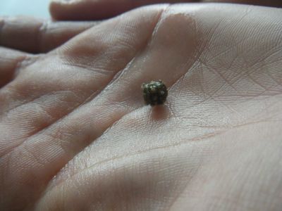 Preme para ver a foto ampliada