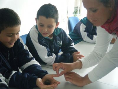 Preme para ver a foto ampliada