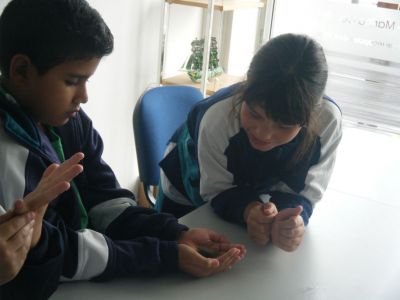 Preme para ver a foto ampliada