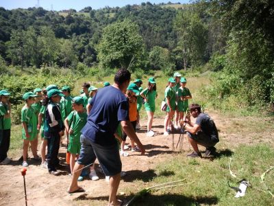 Preme para ver a foto ampliada