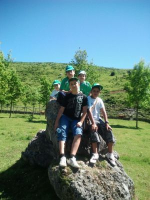 Preme para ver a foto ampliada