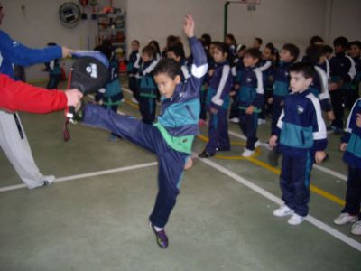 Preme para ver a foto ampliada