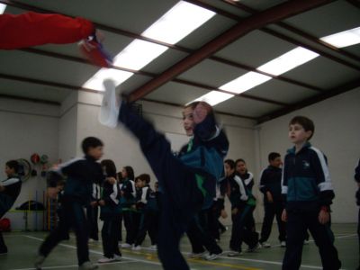 Preme para ver a foto ampliada