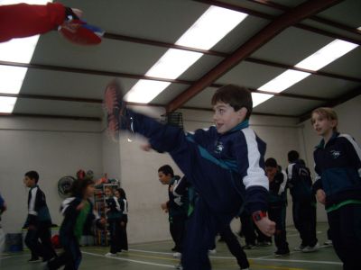 Preme para ver a foto ampliada