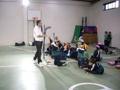 Preme para ver a foto ampliada