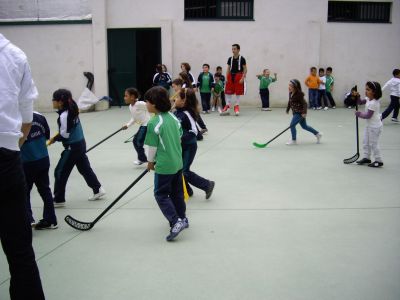 Preme para ver a foto ampliada