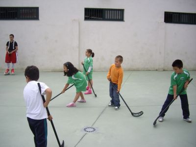 Preme para ver a foto ampliada