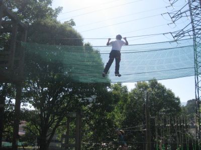 Preme para ver a foto ampliada