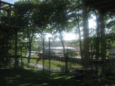 Preme para ver a foto ampliada