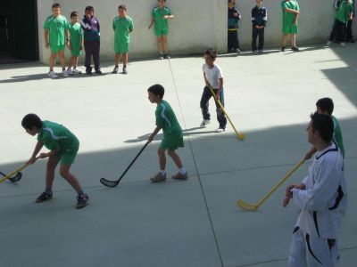 Preme para ver a foto ampliada