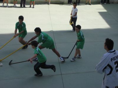 Preme para ver a foto ampliada