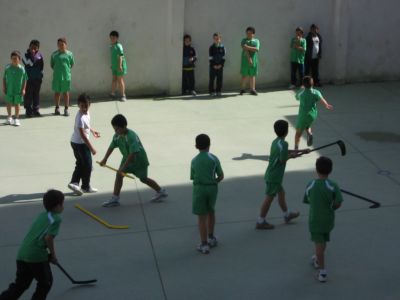 Preme para ver a foto ampliada