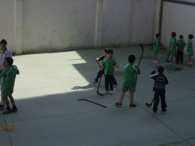 Preme para ver a foto ampliada