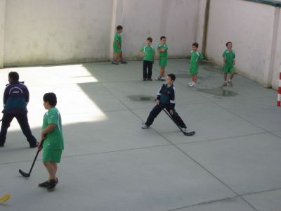 Preme para ver a foto ampliada