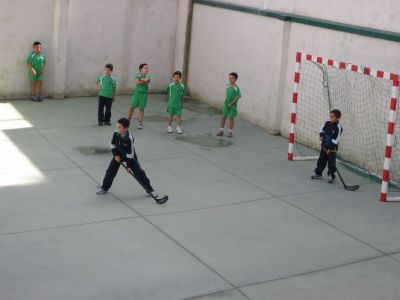 Preme para ver a foto ampliada