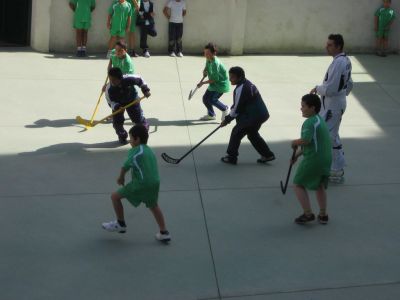 Preme para ver a foto ampliada