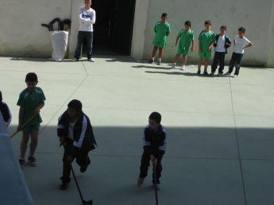 Preme para ver a foto ampliada