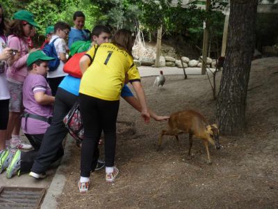 Preme para ver a foto ampliada