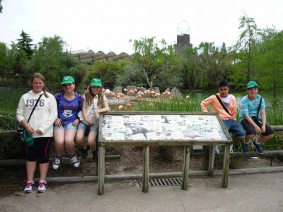 Preme para ver a foto ampliada