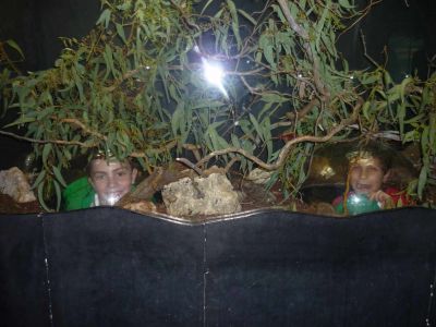 Preme para ver a foto ampliada