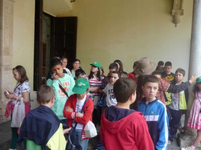 Preme para ver a foto ampliada