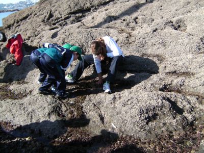 Preme para ver a foto ampliada