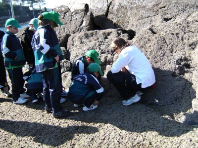 Preme para ver a foto ampliada