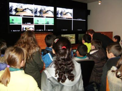 Preme para ver a foto ampliada