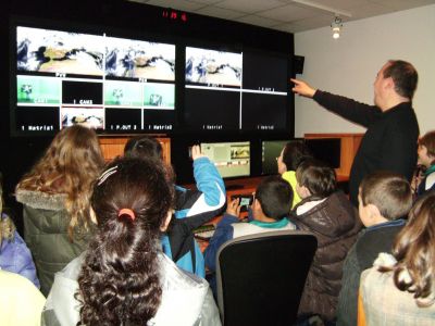 Preme para ver a foto ampliada