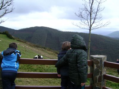 Preme para ver a foto ampliada