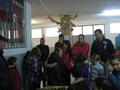 Preme para ver a foto ampliada