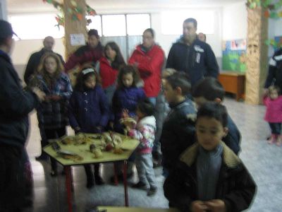 Preme para ver a foto ampliada