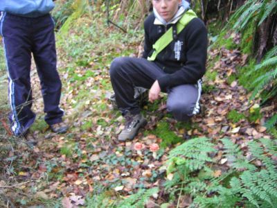 Preme para ver a foto ampliada