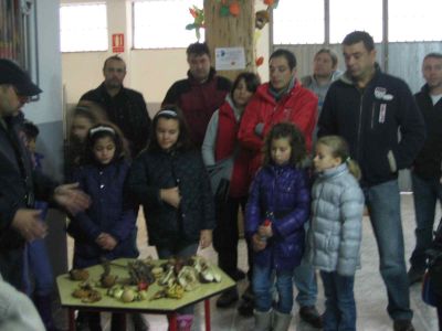 Preme para ver a foto ampliada