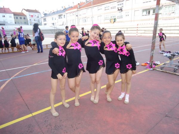 Preme para ver a foto ampliada