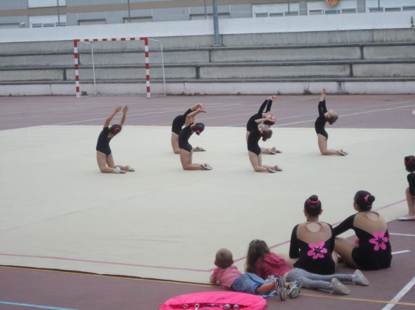 Preme para ver a foto ampliada