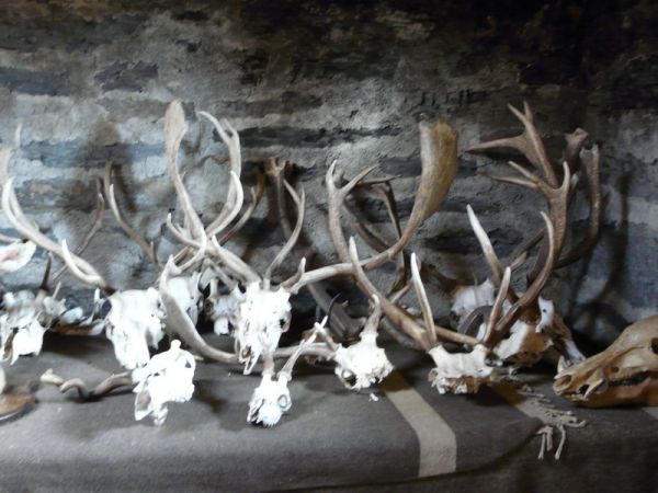 Preme para ver a foto ampliada