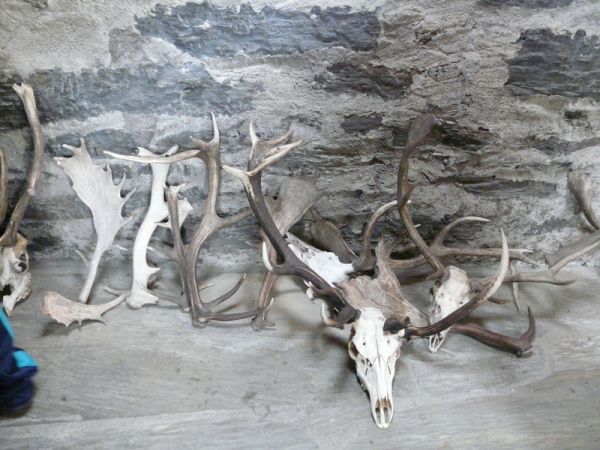 Preme para ver a foto ampliada