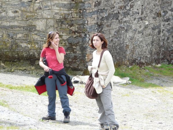 Preme para ver a foto ampliada