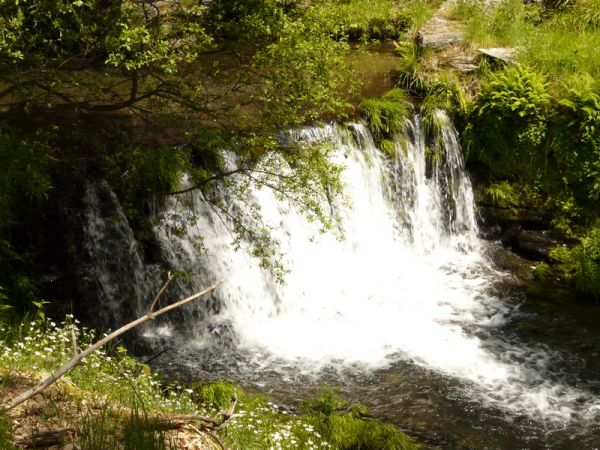 Preme para ver a foto ampliada