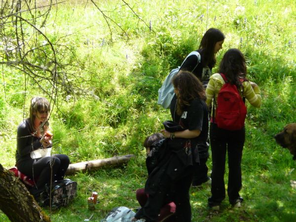 Preme para ver a foto ampliada