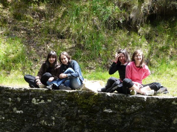 Preme para ver a foto ampliada