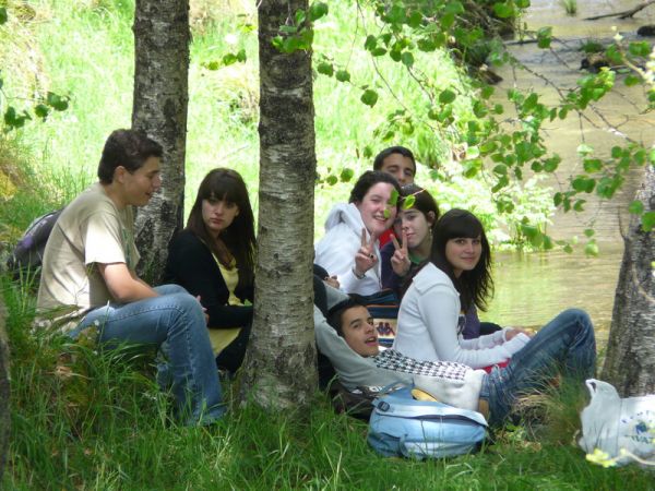 Preme para ver a foto ampliada