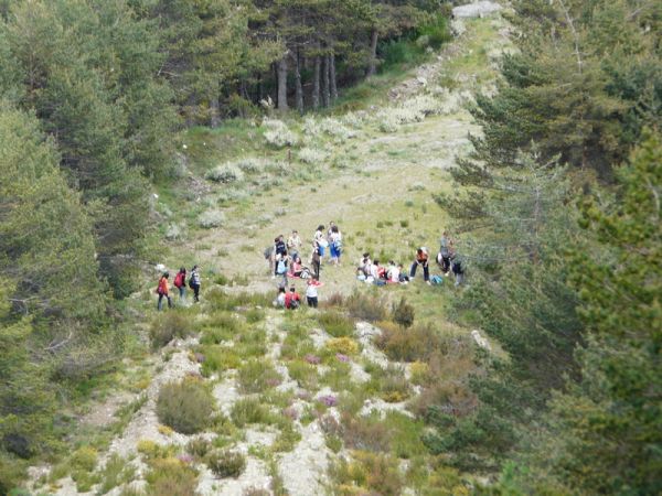 Preme para ver a foto ampliada