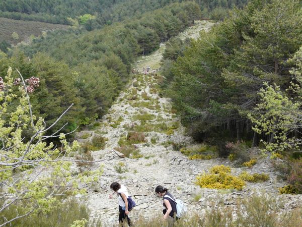 Preme para ver a foto ampliada